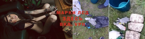 спайс Аркадак