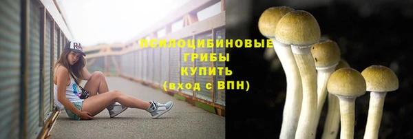 спайс Аркадак