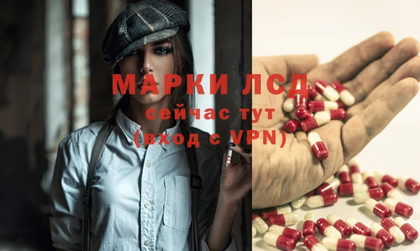 спайс Аркадак