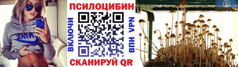 shop формула Балей Псилоцибиновые грибы ЛСД