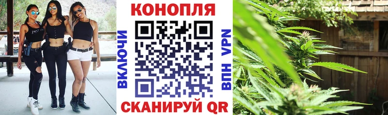 где можно купить   маркетплейс как зайти  Бошки марихуана Ganja  Балей 